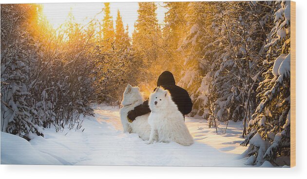 Sunset Wood Print featuring the photograph Sunset Companions by Valerie Pond