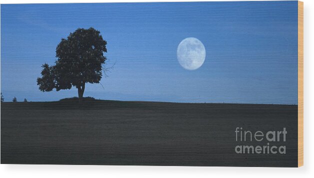 Full Moon Wood Print featuring the photograph Twilight Solitude by Sharon Elliott