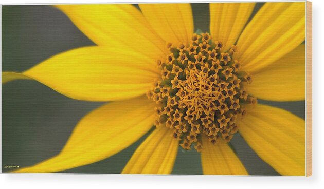 Yellow Twist Wood Print featuring the photograph Yellow Twist by Edward Smith