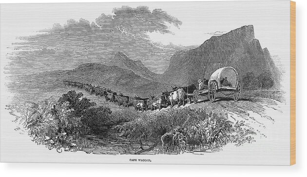 1843 Wood Print featuring the photograph South Africa: Great Trek #2 by Granger