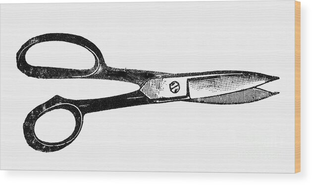 1900 Wood Print featuring the photograph Scissors #3 by Granger
