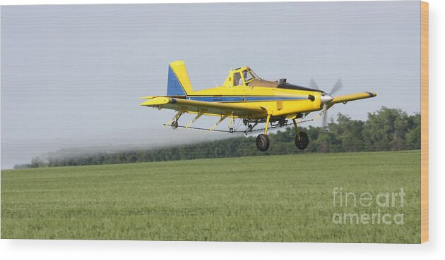 Plane Wood Print featuring the photograph Plane #6 by Lori Tordsen