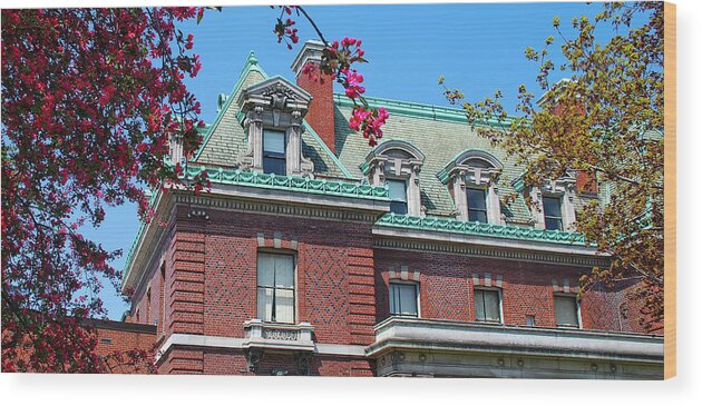 Architecture Wood Print featuring the photograph Ahh Buffalo by Guy Whiteley