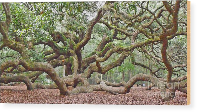 South Wood Print featuring the photograph Angel Oak by Val Miller