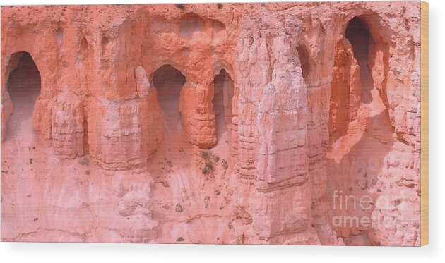 National Park Wood Print featuring the photograph Bryce Canyon Grottos by Ann Johndro-Collins