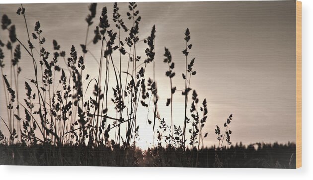 Grass Wood Print featuring the photograph The grass at sunset by Michael Goyberg