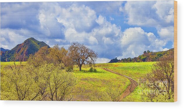 Nature Wood Print featuring the photograph Trail To Nowhere by Jason Abando