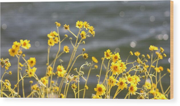 Yellow Wood Print featuring the photograph Wild Flowers by Kim Galluzzo