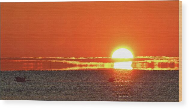 Abstract Wood Print featuring the photograph Sunrise Flight  #1 by Lyle Crump