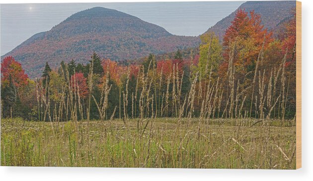 Catskill Mountains Wood Print featuring the photograph Autumn Moods In The Catskills by Angelo Marcialis