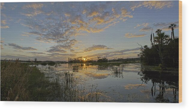 Orlando Wood Print featuring the photograph Breathtaking Orlando Sunrise by Brian Kamprath
