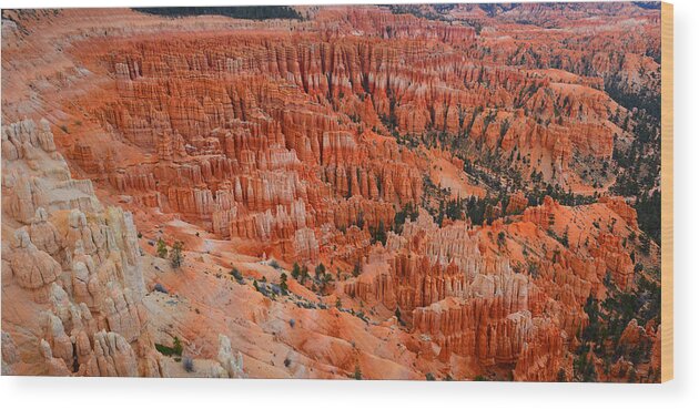 Bryce Canyon Wood Print featuring the photograph Bryce Canyon Megapixels by Raymond Salani III