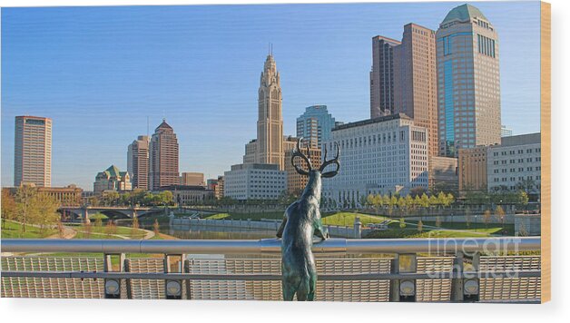 Downtown Columbus Wood Print featuring the photograph Buck Eye View of Columbus 4412 B by Jack Schultz