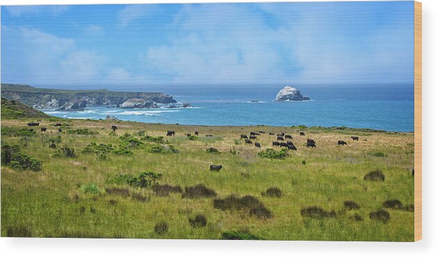 Cambria Wood Print featuring the photograph Central Coast Panorama - Hwy 1 by Lynn Bauer