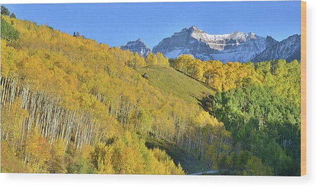 Colorado Wood Print featuring the photograph County Road 7 Fall Colors by Ray Mathis
