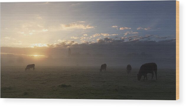 Sudbury Wood Print featuring the photograph Cows in the mist by Ian Merton