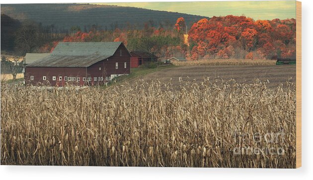 Farm Wood Print featuring the photograph Farm Fall Colors by Chuck Kuhn