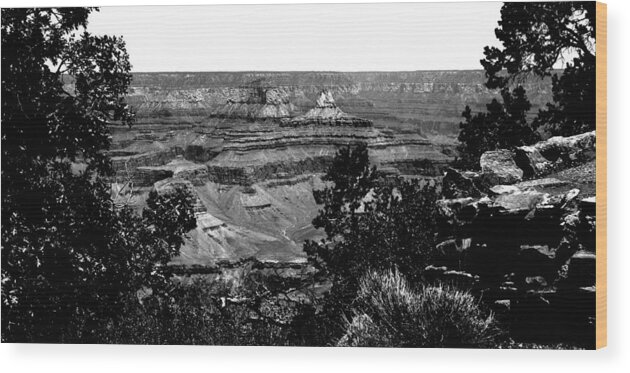 Framing The Grand Canyon Wood Print featuring the photograph Framing the Grand Canyon by David Patterson