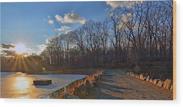 'swan Lake Wood Print featuring the photograph Frozen Sunset by Jeffrey Friedkin