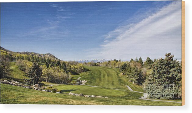 Golf Wood Print featuring the photograph Green and Fairway by Richard Lynch