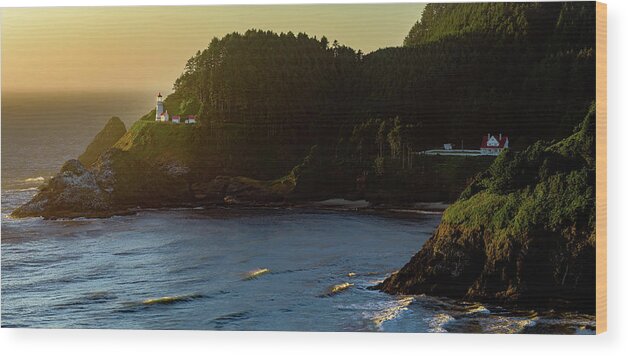 Coastline Wood Print featuring the photograph Heceta Head Lighthouse by John Hight
