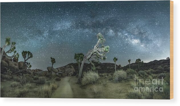 Milky Way Wood Print featuring the photograph JTNP Under the Milky Way by Lisa Manifold