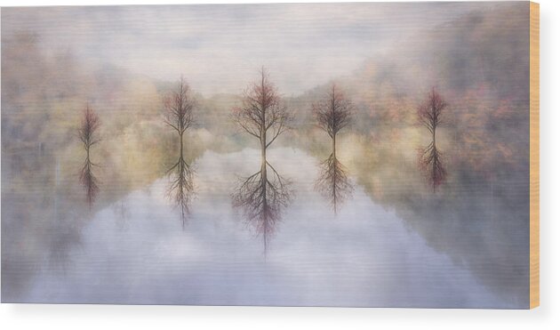 Appalachia Wood Print featuring the photograph Misty Sunrise by Debra and Dave Vanderlaan