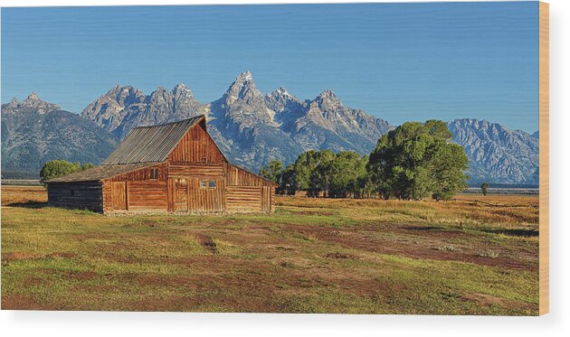 Moulton Wood Print featuring the photograph Moulton Barn and the Tetons by David Soldano