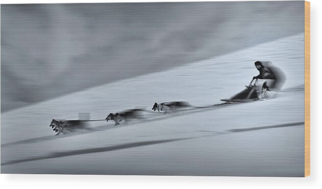 Speed Wood Print featuring the photograph Mushing by Dusan Ignac