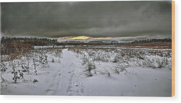 Landscape Wood Print featuring the photograph November 11 #e3 by Leif Sohlman