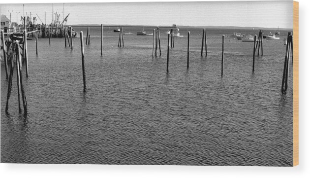 Black And White Wood Print featuring the photograph Rockport Piers 21 by Timothy Bischoff