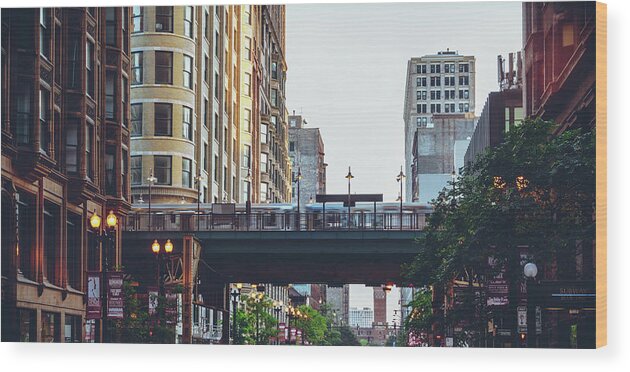 Chicago Wood Print featuring the photograph Slice Of Life by Nisah Cheatham
