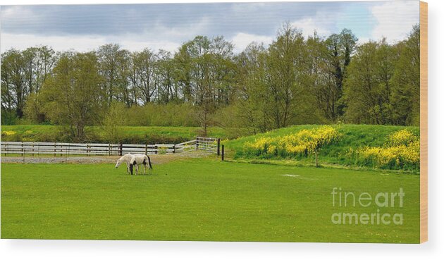 Nature Wood Print featuring the photograph Spring Pastures Panoramic by Tatyana Searcy