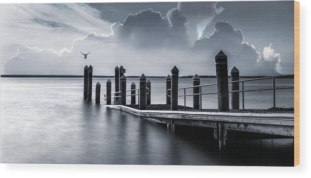  Pier Wood Print featuring the photograph The Silver Lining by Robin-Lee Vieira