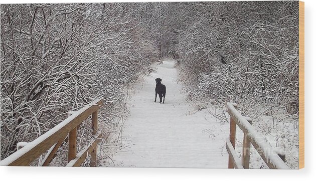 Winter Wood Print featuring the photograph Winter Walk by Deb Stroh-Larson