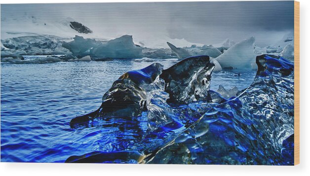 Scenics Wood Print featuring the photograph Antarctica #4 by Michael Leggero