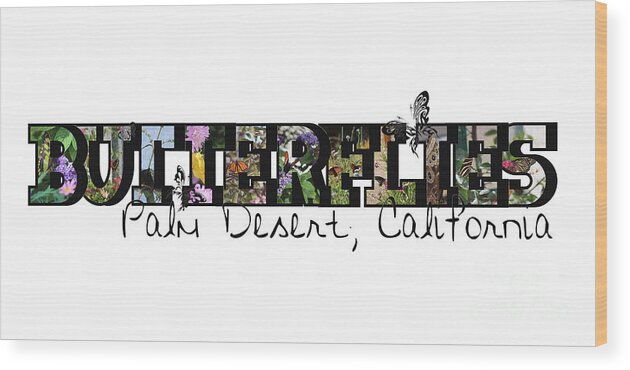 Big Letter Wood Print featuring the photograph Butterflies Big Letter Palm Desert California by Colleen Cornelius