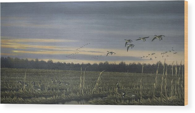 Geese Flying Over Field Wood Print featuring the painting Canada Geese by Wilhelm Goebel