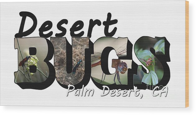 Desert Wood Print featuring the photograph Desert Bugs Big Letter by Colleen Cornelius