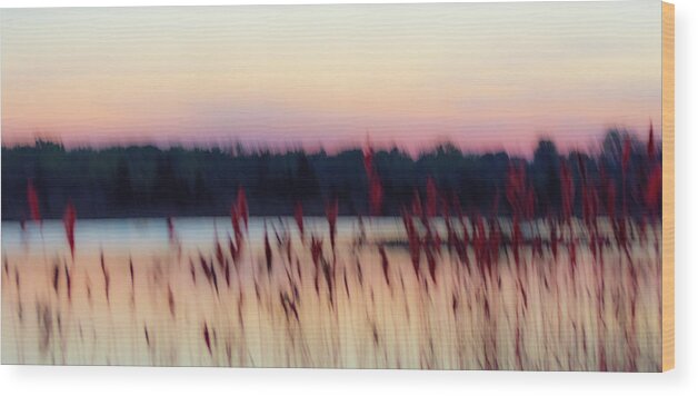 Sandusky Wood Print featuring the photograph Dreams Of Nature by Stewart Helberg