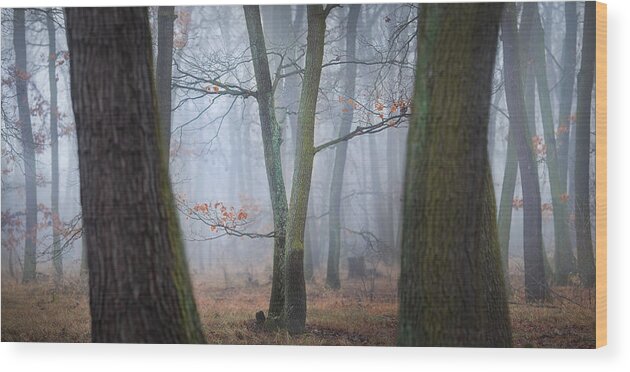 Haze Wood Print featuring the photograph Lovers In The Fog by Tomas Frolec