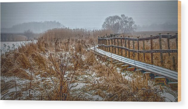 Leif Sohlman Wood Print featuring the photograph Snowy Winter Adventures 1 #i3 by Leif Sohlman