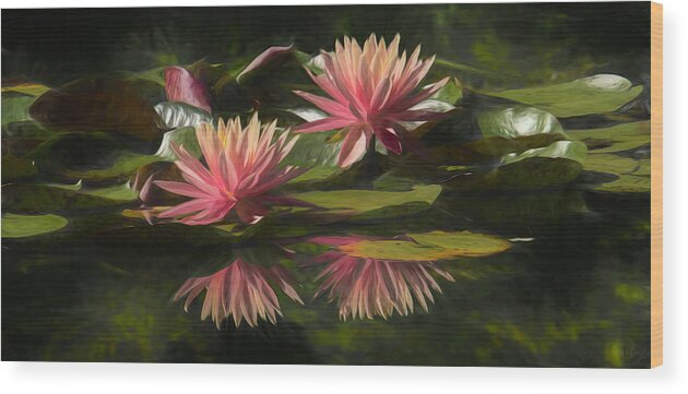 Water Lily Wood Print featuring the photograph Summer is Here_panorama by Mary Buck