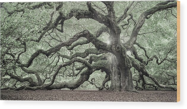 Tree Of Light Color Fl Wood Print featuring the photograph Tree Of Light Color Fl-2 by Moises Levy