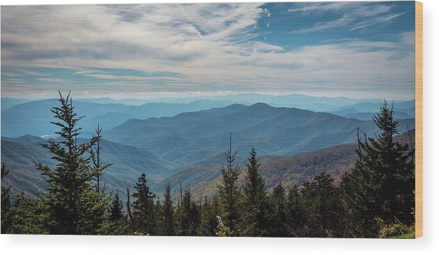 Smoky Wood Print featuring the photograph View from Clingman's Dome by Susie Weaver
