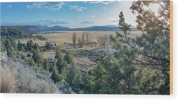 Lassen Wood Print featuring the photograph Homestead by Randy Robbins