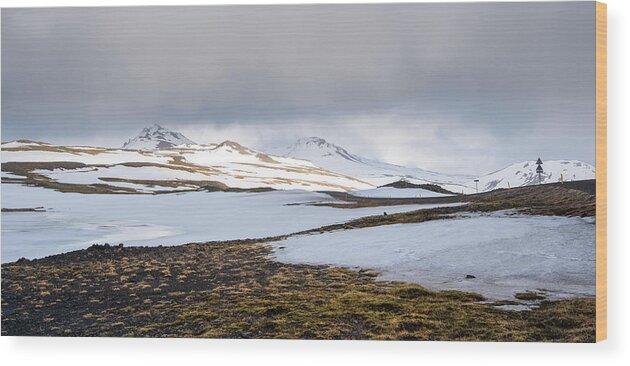 Iceland Wood Print featuring the photograph Icelandic landscape with mountains and meadow land covered in snow. Iceland by Michalakis Ppalis
