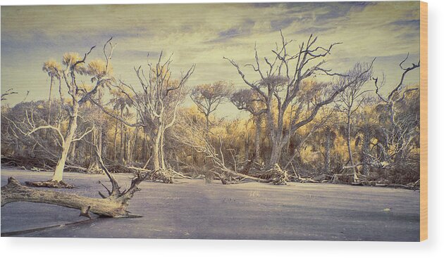 Boneyard Wood Print featuring the photograph Another Time in Another Place by Jim Cook