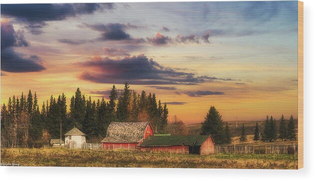 Yancy Wood Print featuring the photograph Canadian Farm Life by G Lamar Yancy