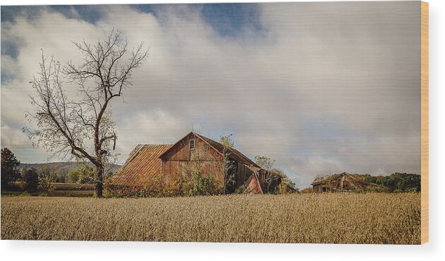 Desolate Wood Print featuring the photograph Desolate barn in field by Robert Miller